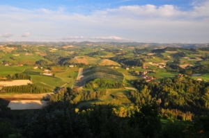 ノヴェッロ村からのバローロ葡萄畑の絶景