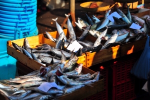 カターニャの魚市場、シチリア