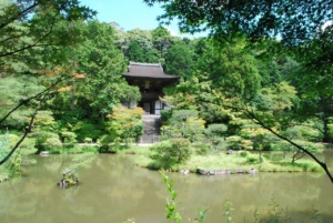 円成寺の庭園から見た楼門